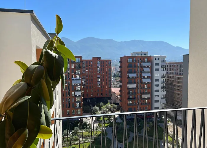 Zirkon Rush * Tirana